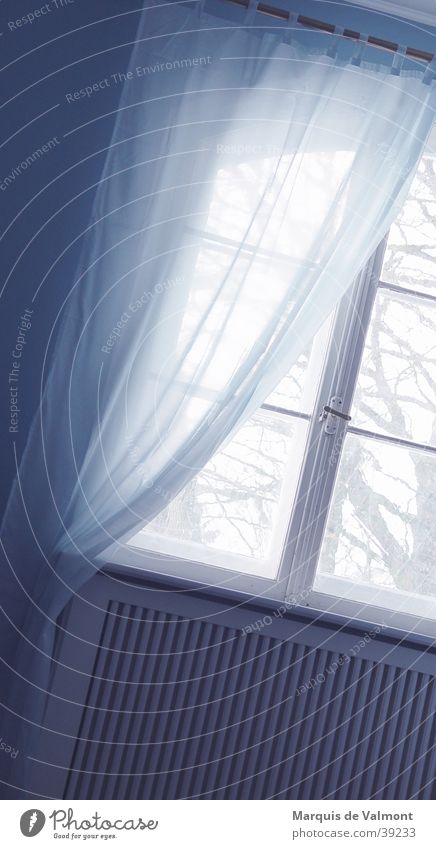 blaulicht Vorhang Gegenlicht Fenster Leitersprosse Fensterkreuz Aussicht Fensterbrett Heizkörper Häusliches Leben Lichterscheinung Glas