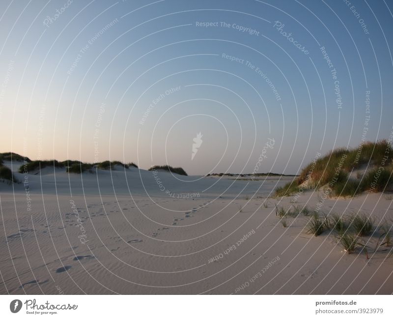 Sandstrand auf Amrum, Deutschland. Foto: Alexander Hauk Sommer sonne sonnenschein Pressereise Pressefahrt Insel Ausflug Tourismus Sehenswürdigkeiten Küste