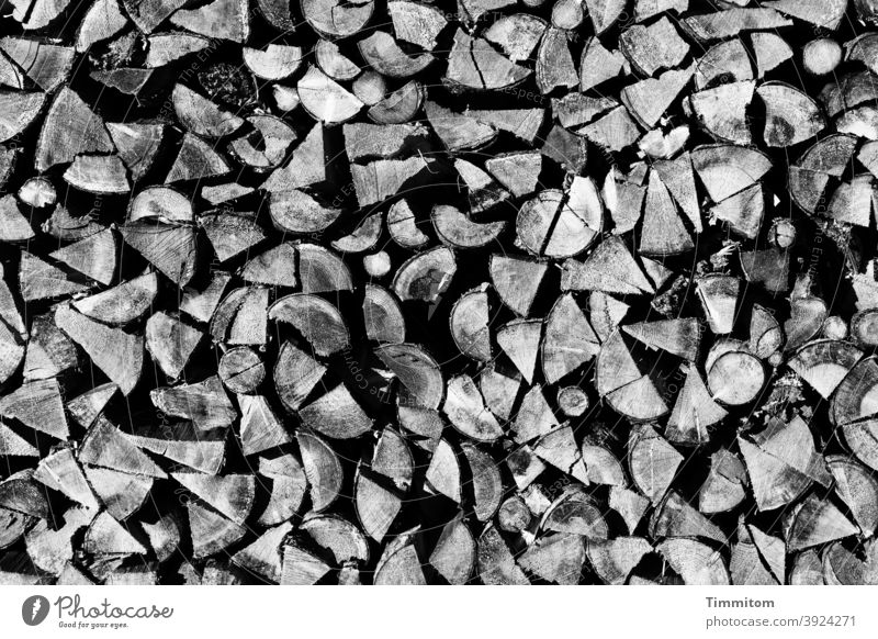 Ein Schwarzwälder Holzstapel Brennholz Vorrat aufgeschichtet Stapel Brennstoff Forstwirtschaft Außenaufnahme Menschenleer Schwarzweißfoto Schwarzwald