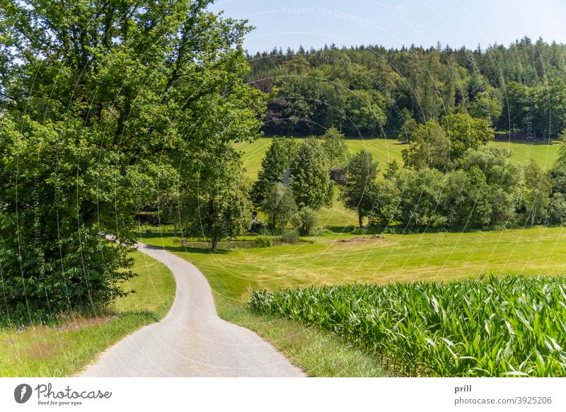 Kulisse Bayerischer Wald bayerischer wald Bayern idyllisch Natur Wiese Weide Sommer friedlich Gras baum Landschaft Erholung Umweltschutz deutschland