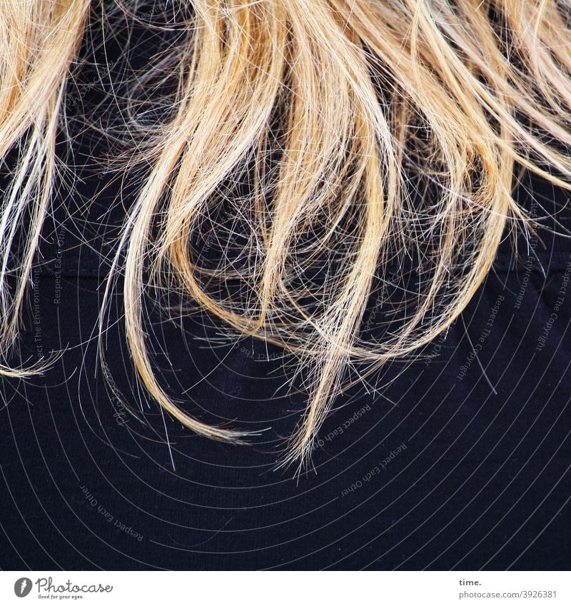 Verlockung (Frühstadium) Haare Frisur blond wild strähnen langhaarig mantel jacke rückansicht weiblich schulter gelb dunkelblau textur kalt kühl Blondschopf