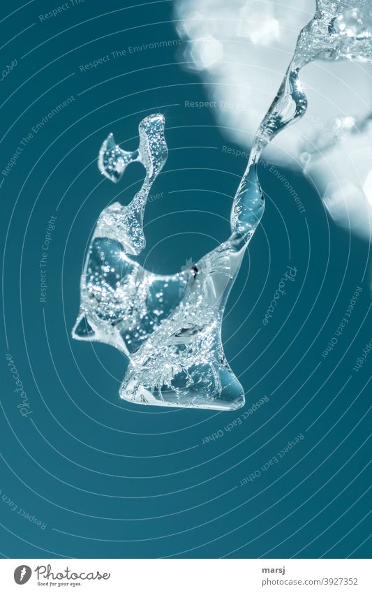 Eiskalte Skulptur. Der Künstler heißt Natur! Eiszapfen seltsam hängen außergewöhnlich Frost Winter elegant klein Vergänglichkeit Farbfoto gefroren Nahaufnahme