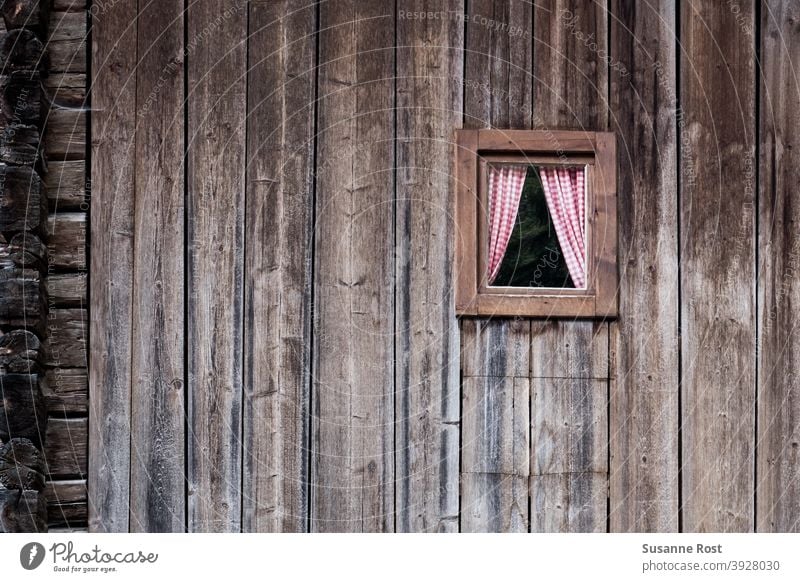 Eine Hauswand aus breiten Holzbalken mit einem kleinen Holzfenster mit rot-weiß karierten Gardinen an Fenster Fassade Holzfassade alt Wand Detailaufnahme