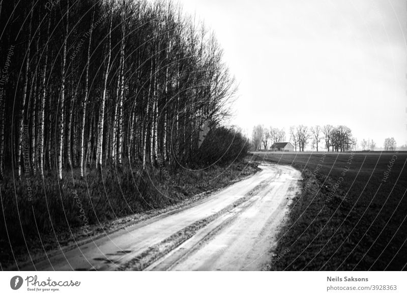 Landweg, der zum Gehöft auf dem Feld führt. Birkenwald in der Nähe der Straße. Lettische Landschaft im Dezember. Wald Haus Anwesen Schotterstraße
