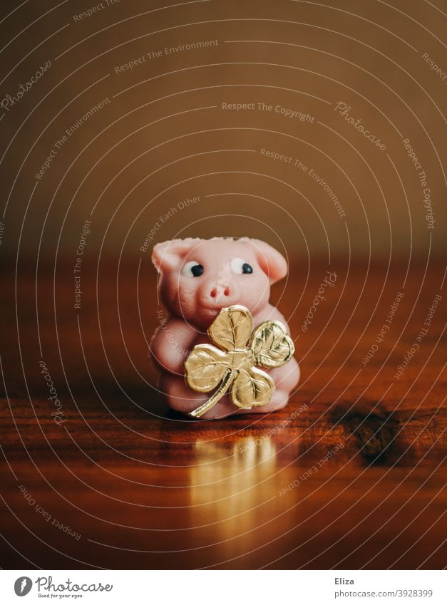 Glücksschwein mit goldenem vierblättrigem Kleeblatt als Glücksbringer zu Silvester. Schwein Symbol vierblättriges Kleeblatt Neujahr neues Jahr