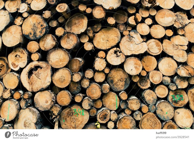 gestapelte Holzstämme warten auf den Abtransport aus dem Wald holzstämme heizen Raummeter Baumstamm Forstwirtschaft Brennholz Holzstapel Brennstoff Totholz