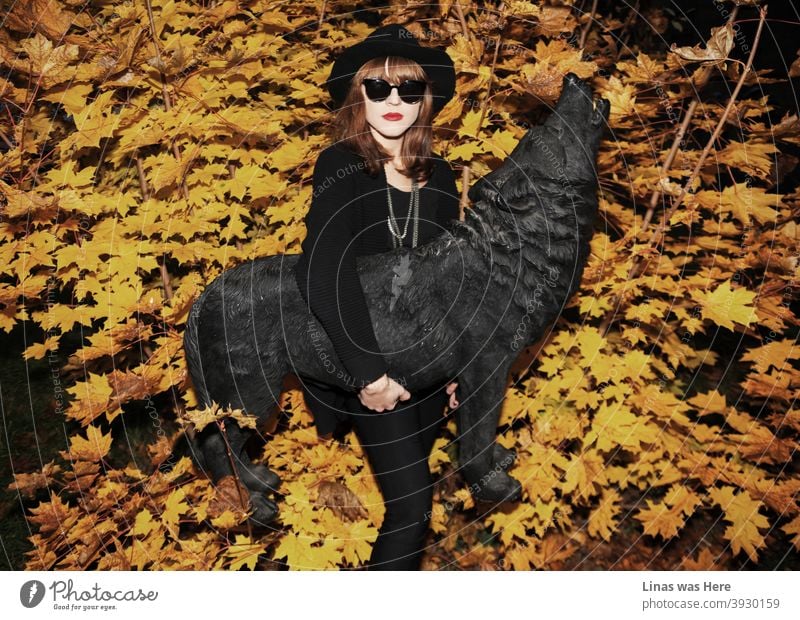 Der Herbst ist da. Ein wunderschönes brünettes Modell in schwarz gekleidet ist mit einem schwarzen Wolf Statue posiert. Gelbe goldene Blätter sind im Hintergrund und das hübsche Gesicht Mädchen trägt eine Sonnenbrille.