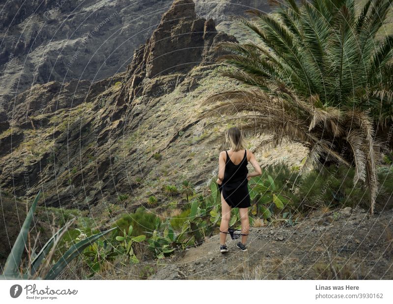 Verlorenes Mädchen in diesen Bergen, die aussehen (und tatsächlich sind) wie Masca auf Teneriffa. Massive Felsen, grüne Palmenblätter, stachelige Kakteen, oh, und schwarze Höschen. Wildes Mädchen in diesem wilden Terrain.