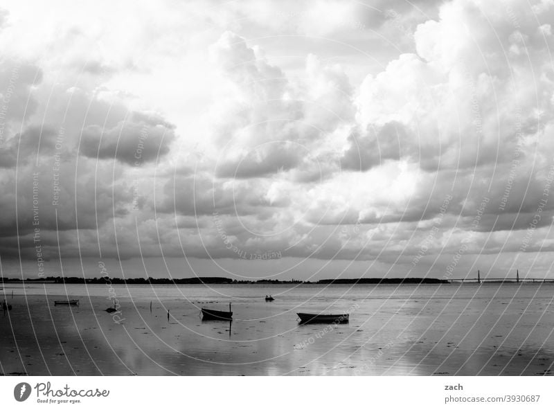 zeitweise bewölkt See Wasser Meer Ostsee Seeufer ostseeküste Boot Ruderboot Küste Ostseeküste Natur Erholung Dänemark ruhig Ruhe stille grau Wolken Himmel