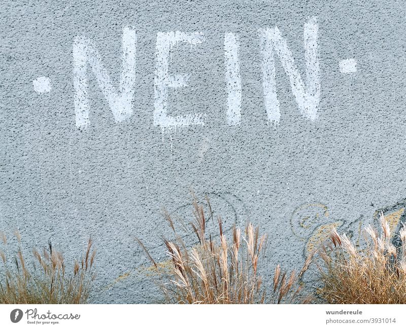 Nein. nein Wand grau Menschenleer Buchstaben Mauer Graffiti Wort Ablehnung Text Straßenkunst Wandmalereien Schriftzeichen
