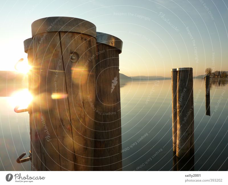 Abendleuchten Wolkenloser Himmel Sonne Sonnenaufgang Sonnenuntergang Schönes Wetter See Bodensee Binnenschifffahrt Hafen Holz Erholung träumen fantastisch schön