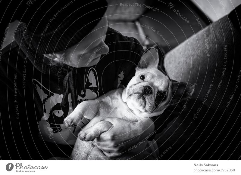 Französische Bulldogge Welpe in seinem besten Freund Hände Tier Baby Hintergrund schön schwarz züchten Eckzahn Pflege Kind niedlich Hund Hündchen heimisch