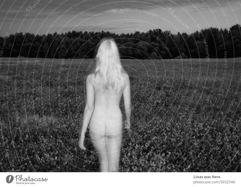 Ein nacktes blondes Mädchen ist zu Fuß nach unten diese endlosen Felder in schwarz und weiß. Sexy Rücken mit viel Nacktheit ist das Hauptthema genau hier. Eine Erinnerung an einen längst vergangenen Sommer.