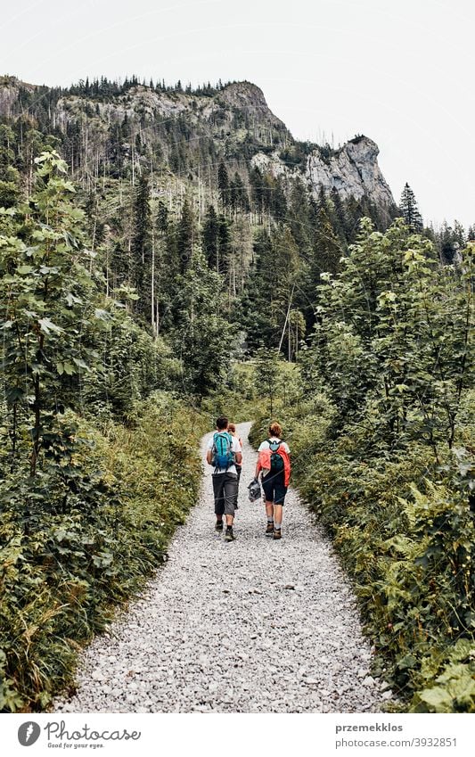 Familie mit Rucksäcken Wandern in einem Gebirge aktiv verbringen Sommerurlaub zusammen Aktivität Abenteuer Wald Waldlandschaft Schneise Freiheit Spaß Gesundheit