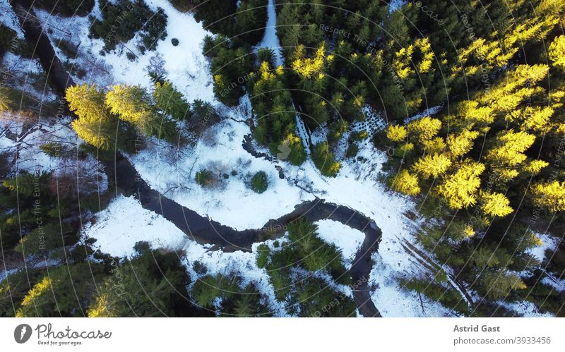 Drohnenfoto von einem Wald mit Bach im Winter mit Licht und Schatten drohnenfoto luftaufnahme wald bach bachlauf bäume landschaft winter schnee sonne licht