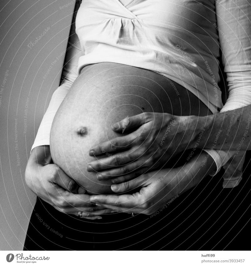 Drei Hände und ein Babybauch Berührung 8 Monate Körper berühren mütterlich erwartungsvoll Leben erwartend Geburt Glück Elternschaft Vaterschaft Liebe Bauch
