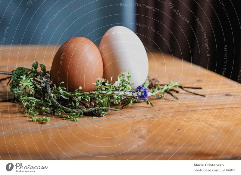 Braunes und weißes Ei auf einem Nest aus Blumen als Dekoration für den kommenden Frühling und Ostern Frühjahrssaison Osterei traditioneller Feiertag Blumennest
