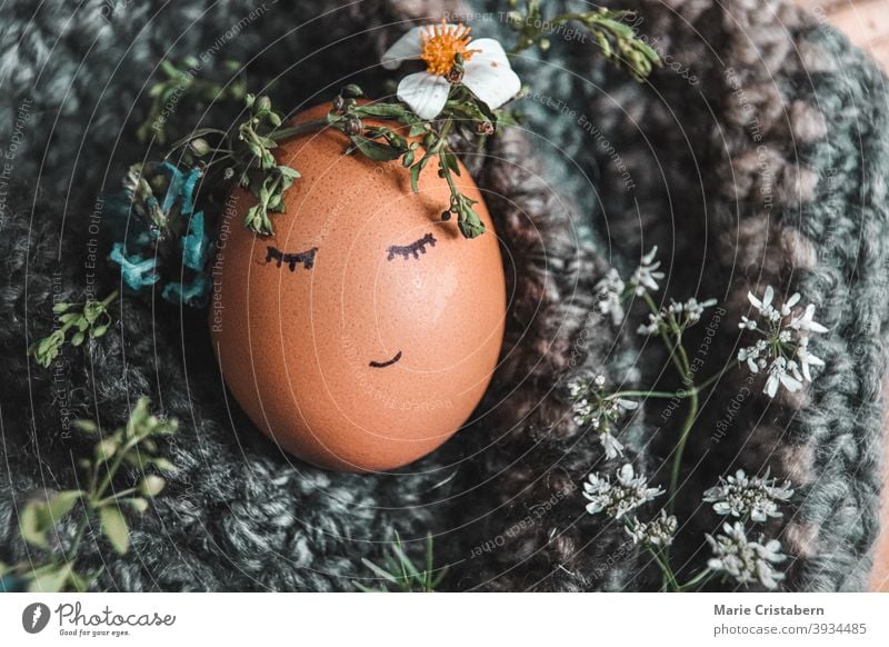 Nahaufnahme eines Eies mit einer Blumenkrone als Dekoration und Symbol für Ostern und das Kommen der Frühlingssaison Osterei Osterurlaub niedlich April März