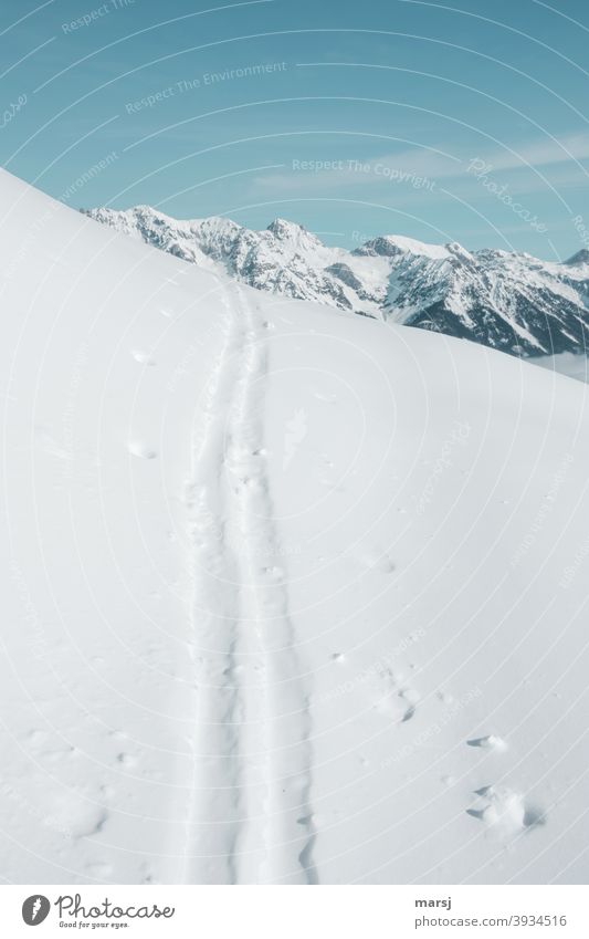 Skispur über Schneedecke. Ziel, die Schneebedeckten Berggipfel im Hintergrund parallel Einsamkeit kalt Unendlichkeit Landschaft Natur Frost Eis Alpen