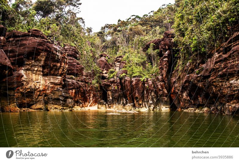 am meer beeindruckend Fernweh bako nationalpark Sarawak außergewöhnlich Strand Küste Meer Borneo Malaysia Asien fantastisch Felsen Landschaft Berge u. Gebirge