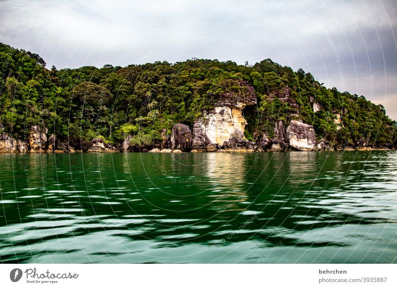 am meer beeindruckend Fernweh bako nationalpark Sarawak außergewöhnlich Strand Küste Meer Borneo Malaysia Asien fantastisch Felsen Landschaft Berge u. Gebirge