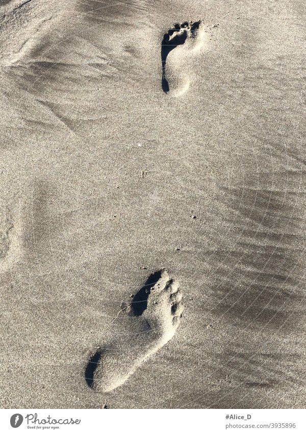 Barfußabdrücke im Sand tourism barefoot travel footprints in the sand beach person coastline wet mediterranean seashore lonely freedom alone human footstep