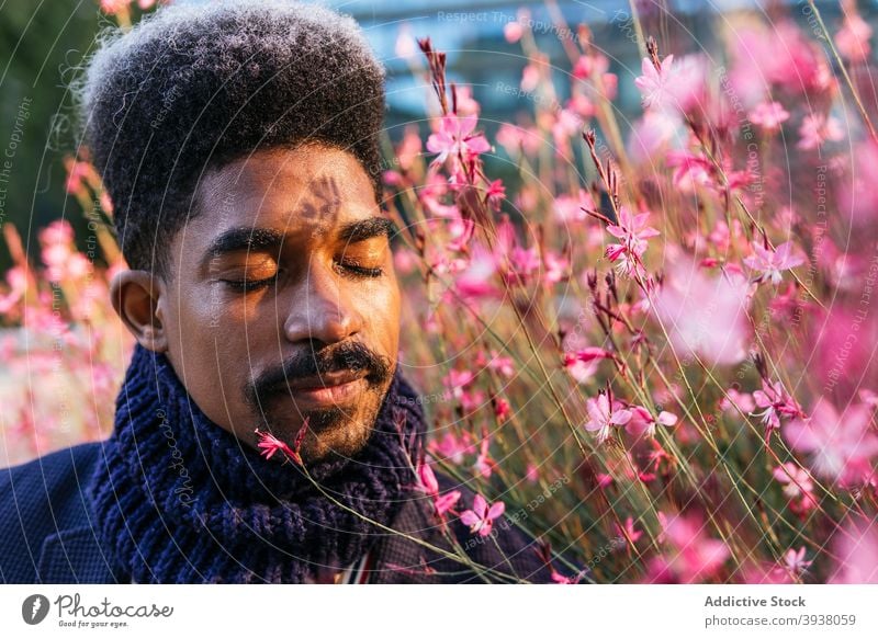 Schwarzer Mann genießt Blumenduft im Stadtpark riechen Schniefen Aroma Blütezeit genießen duftig aromatisch Park männlich ethnisch schwarz Afroamerikaner