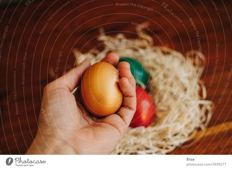 Eine Hand hält ein bemaltes Osterei, im Hintergrund ein Osternest mit weiteren bunten Ostereiern Eier Nest bunte Eier gefärbt golden gekochte Eier