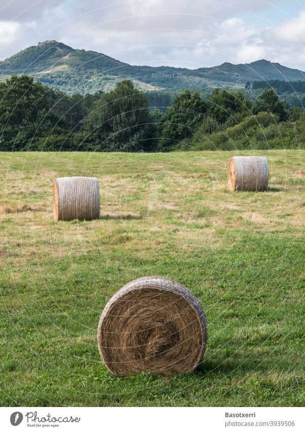Runde Strohballen auf einer Wiese in einer hügeligen Landschaft. Provinz Álava, Baskenland, Spanien Heu Ballen Rundballen rund Feld Ernte Landwirtschaft Natur