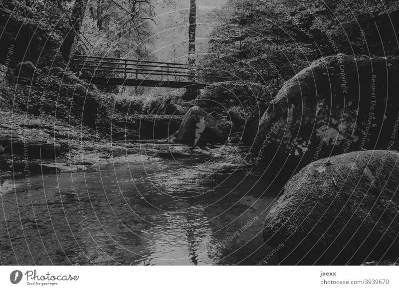 Brücke über kleinen Bach mit Felsen im Wald, Monochrom düster still ruhig Natur Außenaufnahme Wasser Menschenleer Landschaft Tag Steine Baum fließen einsam