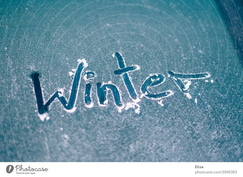 Das Wort Winter auf einer vereisten Autoscheibe geschrieben Frost Eis frei kratzen Scheibe gefroren PKW Autofenster Windschutzscheibe blau kalt freikratzen kühl