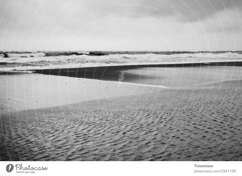 Man könnte meinen, man sei am Nordseestrand Strand Dänemark Wasser Wellen Sand Linien Schwarzweißfoto Natur Ferien & Urlaub & Reisen Menschenleer Himmel
