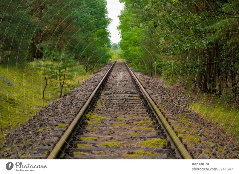 alte Bahnstrecke, am Ende der Strecken komplett mit Bäumen bewachsen, selektive Schärfe Gleisbett Schienen Eisenbahn bügeln Rust Eisenbahnschwellen Wald Wälder
