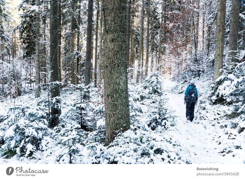 Spazieren im Winterwald Wald Spaziergang Wandern gehen Frau Natur Landschaft Schnee weiß Baumstamm Rinde Bäume Wetter Kalt hell dunkel Kontrast Weg Pfad kalt
