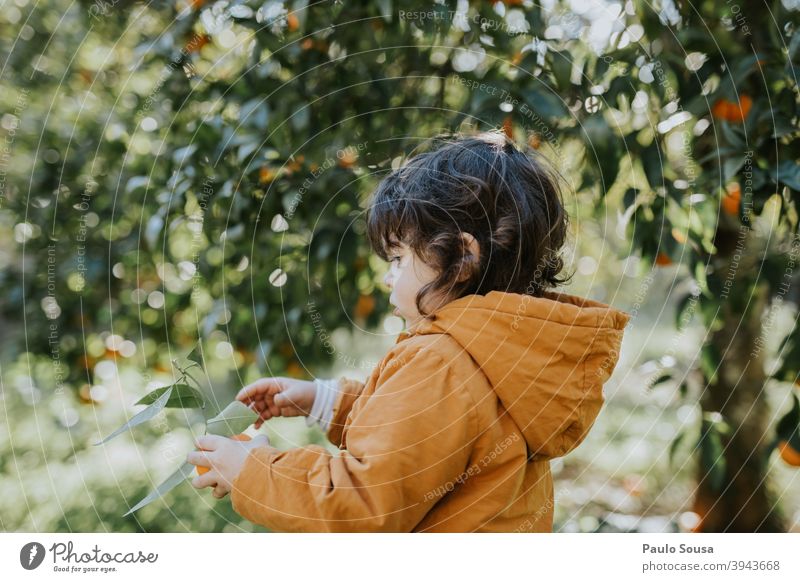 Kleines Mädchen hält Orange orange Orangensaft Zitrusfrüchte Kind Kindheit authentisch Natur natürlich Vitamin Farbfoto Gesunde Ernährung Vitamin C frisch