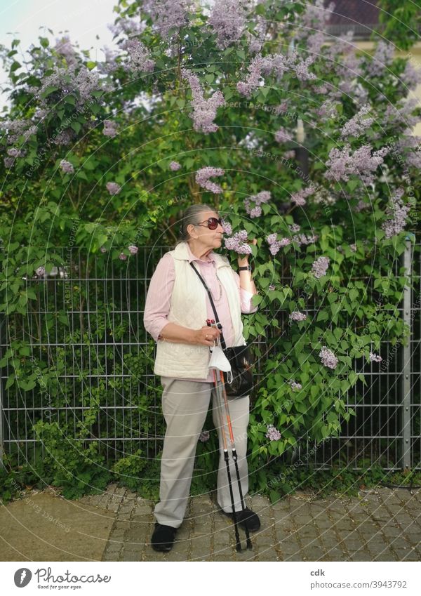 Fliederduft Mensch Frau Person Seniorin stehend Walking-Stöcke Mund-Nasen-Schutz Maske in der Hand Fliederbusch riechen duften Frühling draußen blühen genießen