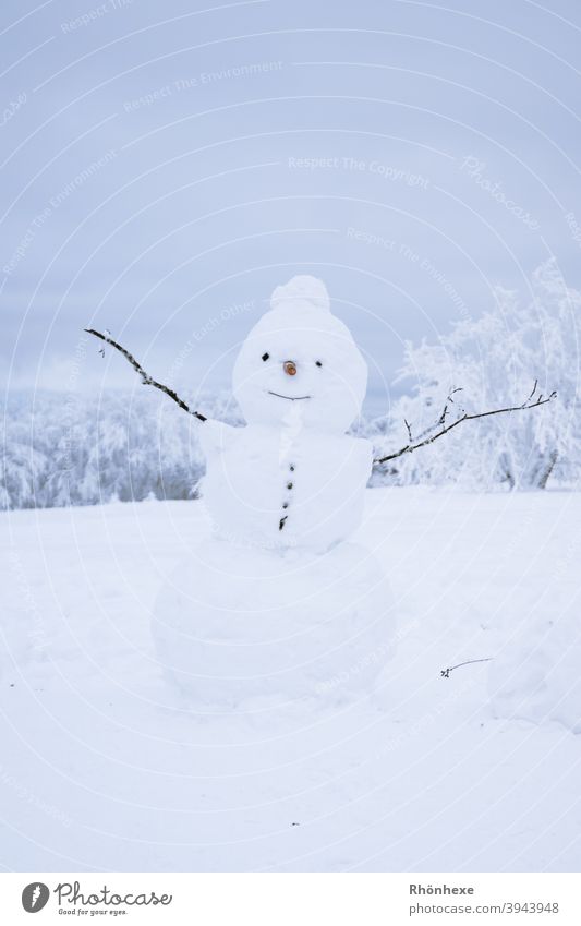 Olaf der kleine Schneemann steht auf der Wiese Winter Außenaufnahme kalt Spielen weiß Freude Natur Jahreszeiten Lächeln Kindheit Fröhlichkeit Schneebälle