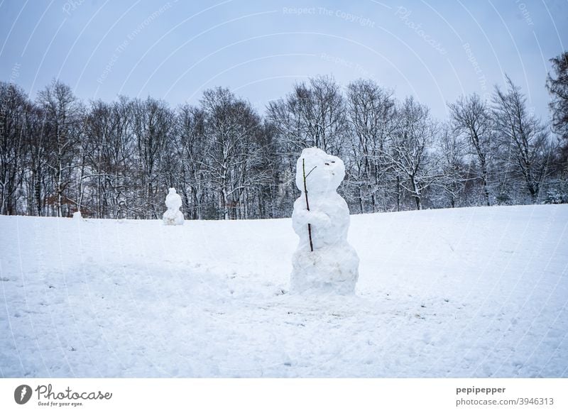 Schneemann, der wie ein einsamer Soldat dort steht Einsamkeit Winter kalt weiß Außenaufnahme Freude Spielen Natur Jahreszeiten Weihnachten Glück