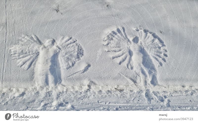 Schnee-Engel Schnee-Engerl Flügel Winter weiß Abdrücke Märchenstunde Kindheitserinnerung Erinnerung verspielt Symmetrie Schneedecke ausflug Bewegung Gefühle