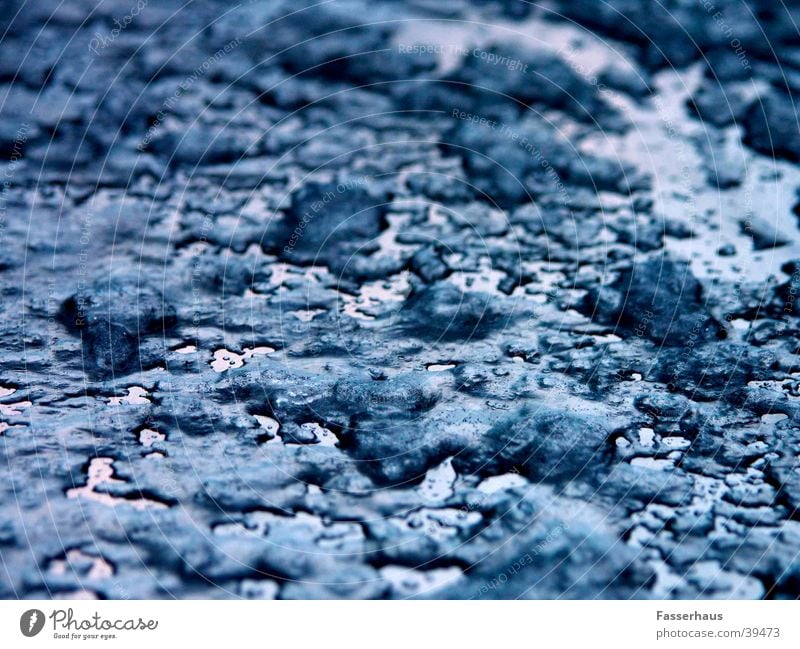 Frostige Zeiten schmelzen kalt frieren Winter frisch nass Schlamm Hintergrundbild Stimmung Eiszeit Makroaufnahme Nahaufnahme Schnee Strukturen & Formen fresh