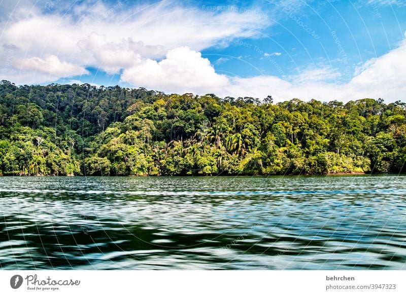 borneo Natur Ferien & Urlaub & Reisen Ferne Abenteuer Himmel Wolken Wasser Landschaft Wellen See fantastisch Asien Malaysia Borneo Sarawak batang ai Fernweh