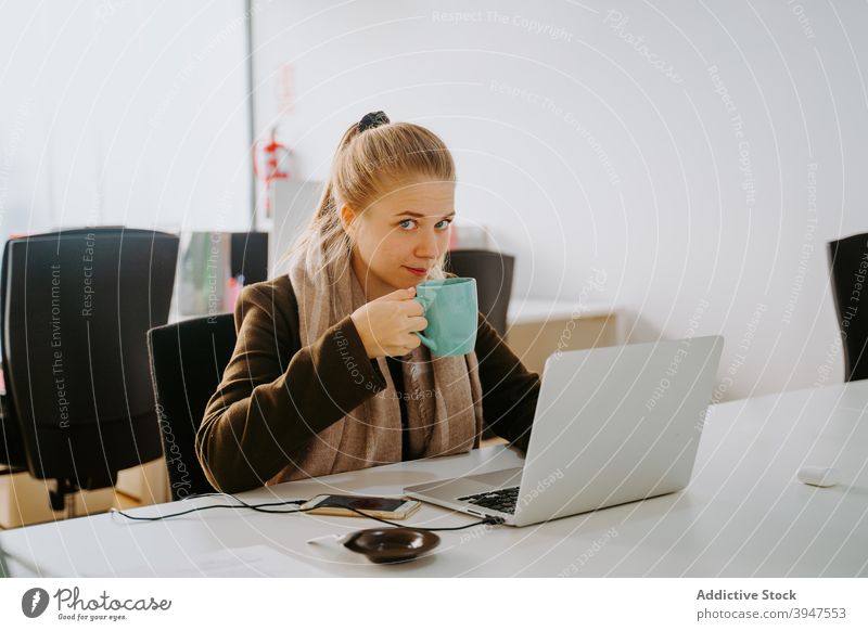 Blond Business Frau arbeitet in einem Büro Computer Laptop professionell Menschen Geschäftsfrau schön Person Manager Arbeit attraktiv Beruf jung Sitzen