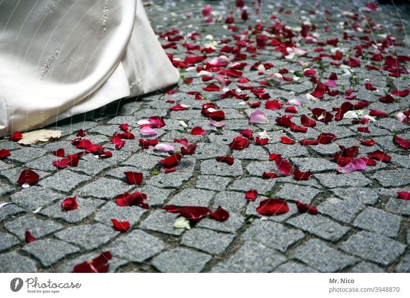 jetzt aber schnell I bevor er es sich anders überlegt Braut Brautkleid Hochzeit Liebe elegant Feste & Feiern Rosenblätter Pflastersteine Wege & Pfade Tradition