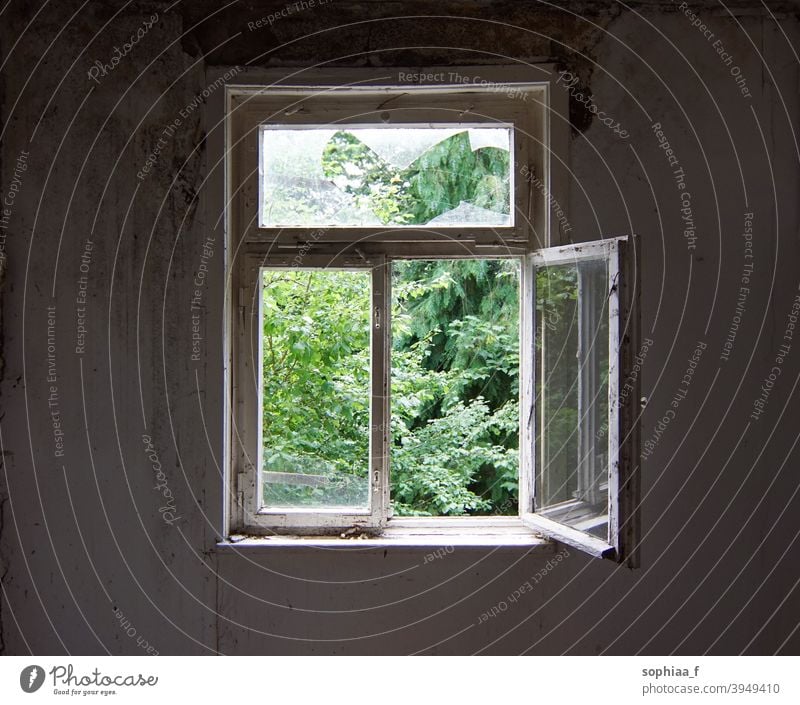 offenes Fenster in einem alten verlassenen Haus, verlorener Ort Brise Atem Verlassen Freiheit Air nach draußen schauen Verlorener Ort Ansicht Rahmen grün Glas