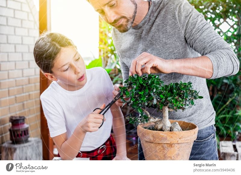 Älterer Mann, der seiner Tochter die Pflege eines Bonsai beibringt Garten alt Hobby Pflanze asiatisch Gartenarbeit Senior 40s Vater Lehre Kind