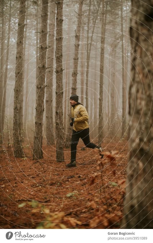 Junger Mann läuft im Herbst Wald und übt für Trail Run Marathon Ausdauerrennen Fitness Läufer männlich Joggen Übung Natur Menschen Jogger Nachlauf Athlet Person