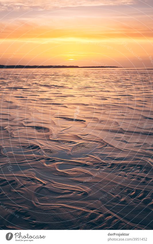 Morgens in San Peter-Ording am Strand I Weitwinkel Panorama (Aussicht) Totale Froschperspektive Starke Tiefenschärfe Sonnenaufgang Sonnenstrahlen Sonnenlicht