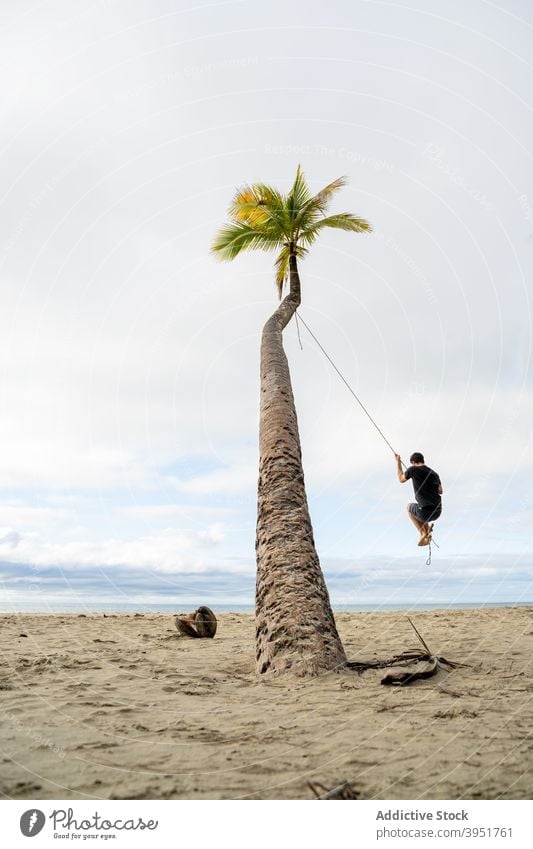 Mann schwingt an Seil auf Palme Handfläche Baum pendeln Strand hängen Sommer Urlaub Meeresufer männlich Australien Natur Feiertag Erholung Tourismus