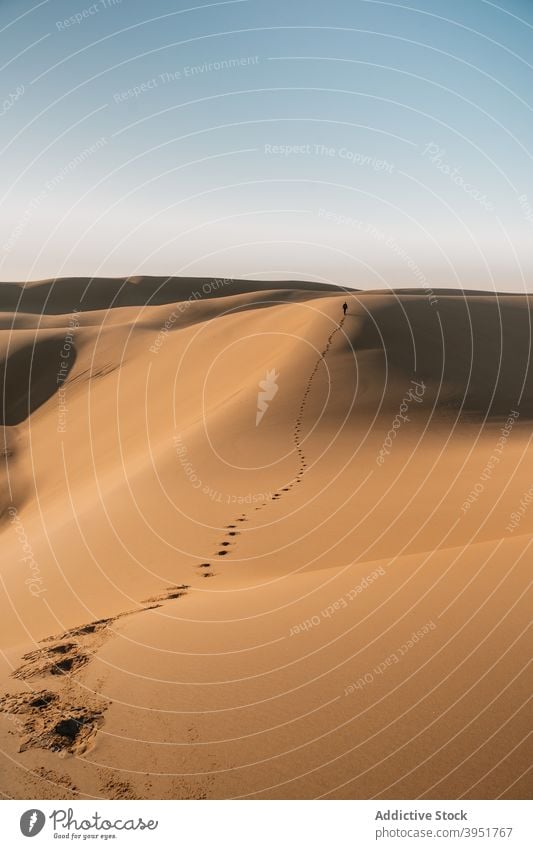 Reisender, der auf Sanddünen in der Wüste läuft wüst Fußspur Düne Natur Spaziergang Spur Landschaft Sommer Australien malerisch Freiheit erwärmen trocknen