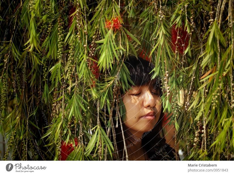 Asiatisches Mädchen entspannt sich unter den Blättern des Bottlebrush-Baums Sommer Frühlingszeit Konzeptionelles Porträt Augen geschlossen asiatisches Mädchen
